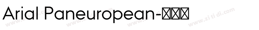 Arial Paneuropean字体转换 Arial Paneuropean字体转换